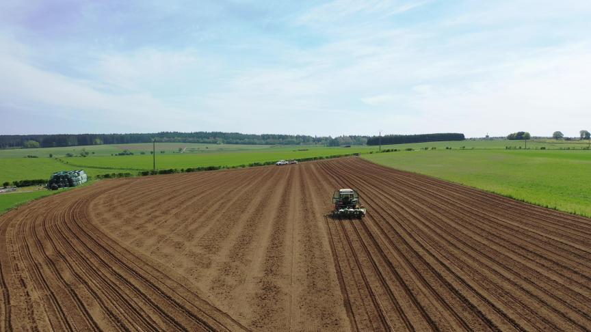 Des rhyzomes de miscanthus ont été plantés sur un peu plus de 2 ha, le 8 mai dernier dans des zones de protection de captage d’eau à Laneuville et Nimbermont, sur le territoire de la commune de Libramont.