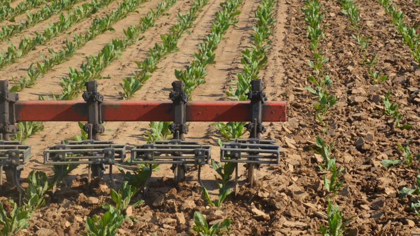 La stratégie de la ferme à la table prévoit notamment un plan d’action pour l’agriculture biologique en 2020 et une révision de la directive sur l’utilisation durable des pesticides en vue d’en réduire sensiblement l’utilisation en 2022.