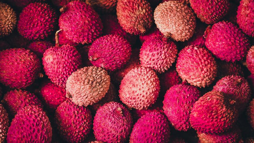 AdobeStock_164365975