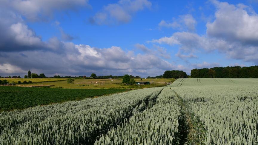 La saison printanière des observations des maladies par le Cepicop se termine sur une note largement positive.