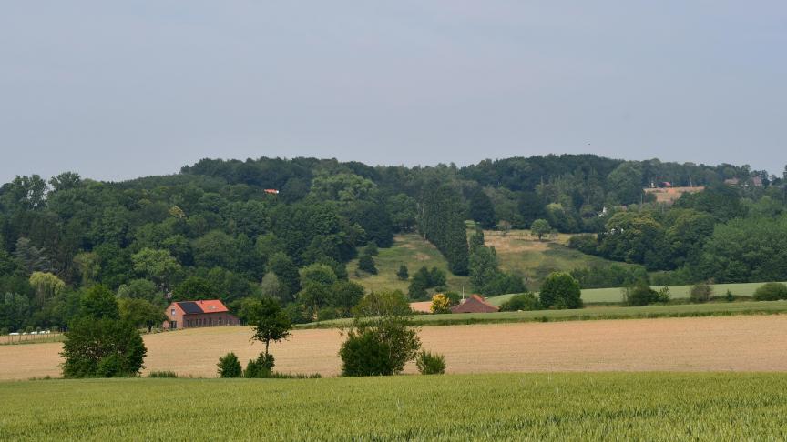 S’ils disent souscrire aux grandes lignes des stratégies « de la ferme à la table » et « biodiversité » que vient de présenter la Commission européenne, les ministres de l’Agriculture de l’UE ont aussi des craintes quant à leur impact sur la compétitivité agricole. Une de leurs principales inquiétudes concerne la concurrence déloyale des importations de produits alimentaires venant de pays tiers qui n’appliqueraient pas les nouveaux standards environnementaux européens.