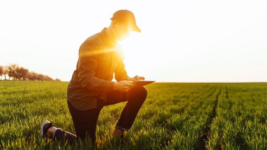 AdobeStock_345043486