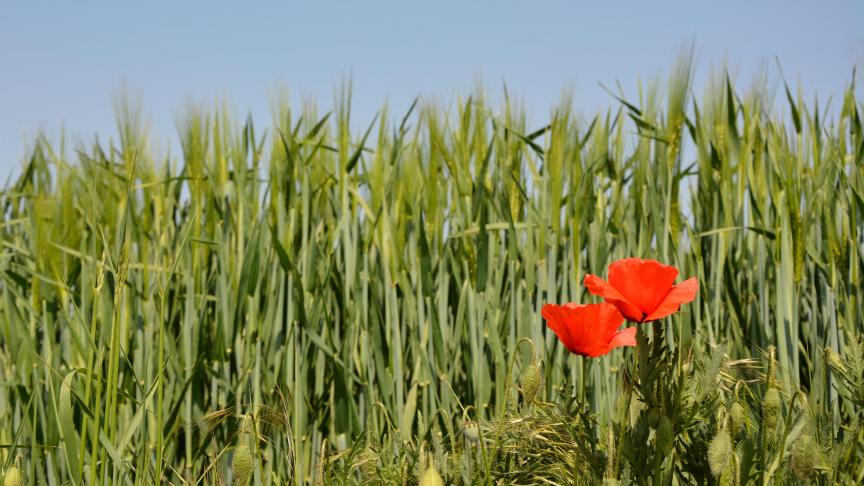 Du côté, des entrepreneurs de travaux agricoles et horticoles, ils sont 1.200 a être certifiés.