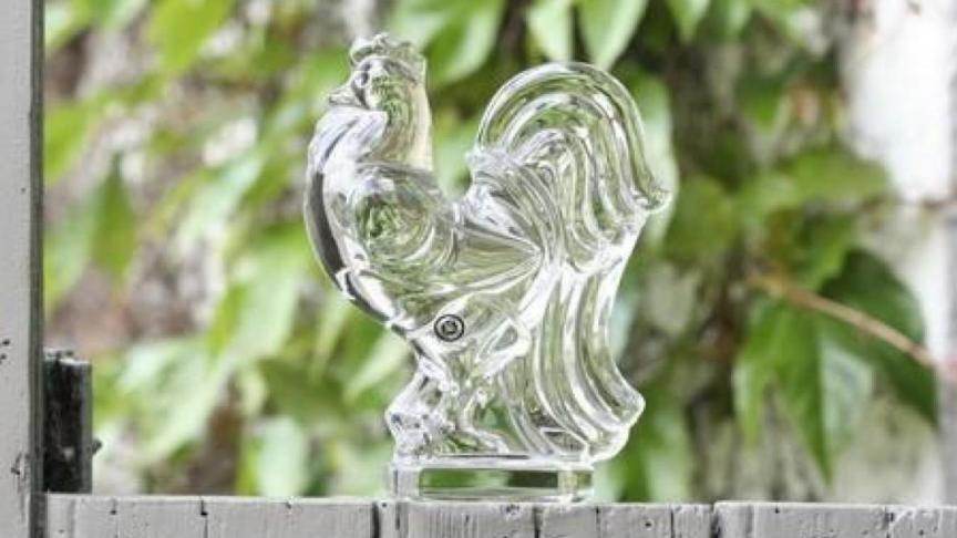 coq