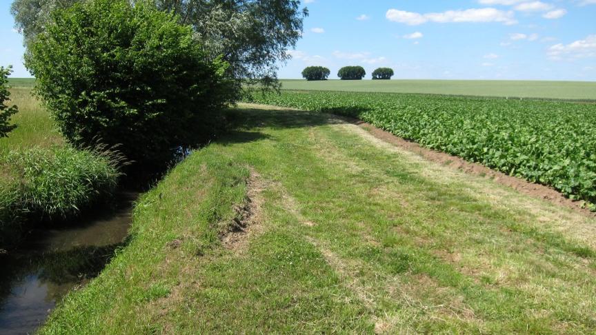 Pour faciliter le travail de lecture des étiquettes et de conversion de la largeur des zones tampons, l’asbl Protect’eau a développé différents outils à l’attention des agriculteurs et entrepreneurs.