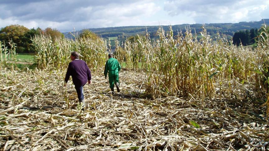 Les dégâts réalisés par la faune sauvage sont chaque année très nombreux. Pour calculer ceux-ci au plus juste,  le logiciel est mis à jour deux fois  par an.