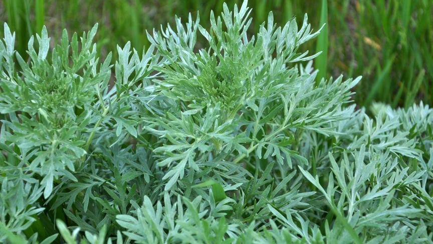 AdobeStock_324633823