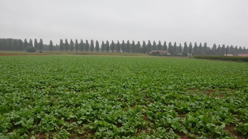 L’agriculture, neutre sur le plan climatique, dans 15 ans? C’est la volonté affichée par la Commission européenne.