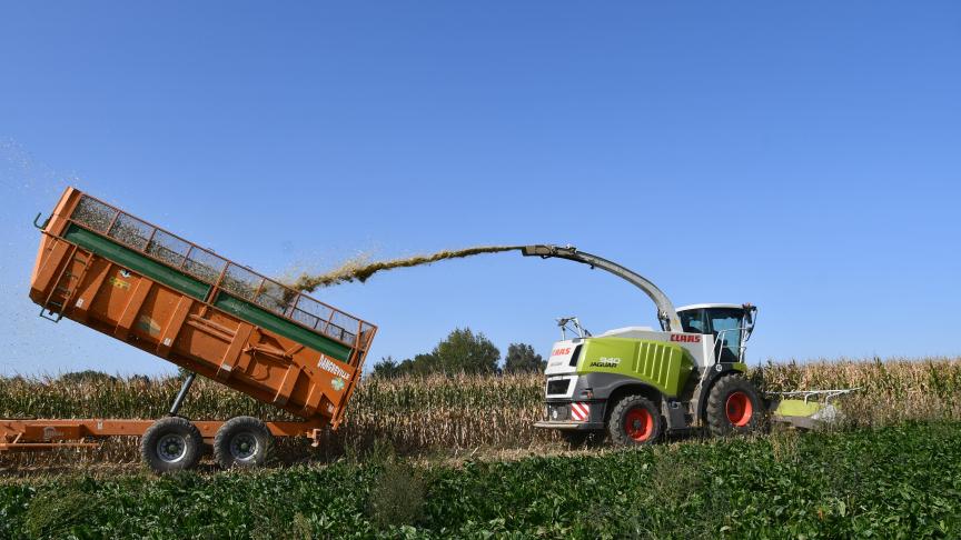 Vu l’évolution de la matière sèche des plantes entières, le mot d’ordre est aux récoltes avec un niveau d’urgence très élevé surtout pour les agriculteurs et éleveurs qui ont opté pour des variétés précoces.