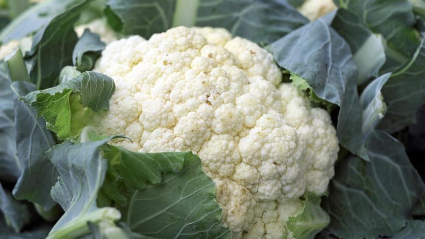 cauliflower-1465732_1920