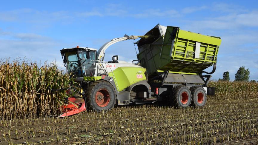 La trémie a été entièrement conçue par l’entreprise De Bruyne, sur base de ses nombreuses années d'expérience.