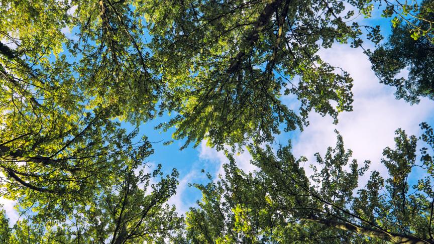 AdobeStock_167982698