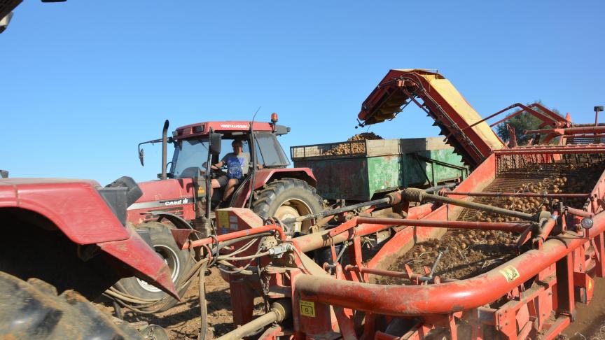 Le présent article entend donner un éclairage juridique et permettre aux producteurs engagés dans des contrats d’éviter de véritables drames financiers.