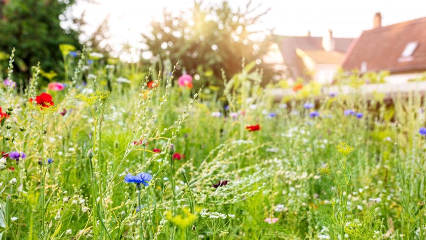 Celui qui exploite un bien rural pourra fournir la preuve de l’existence d’un bail à ferme et de ses conditions par toutes voies de droit, témoins et présomptions compris.