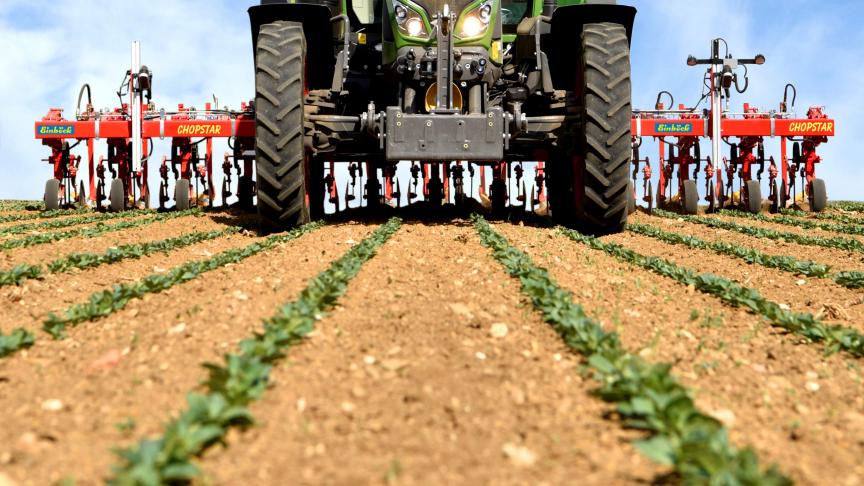 En recevant une deuxième caméra, les bineuses Chopstar gagnent en précision de travail.