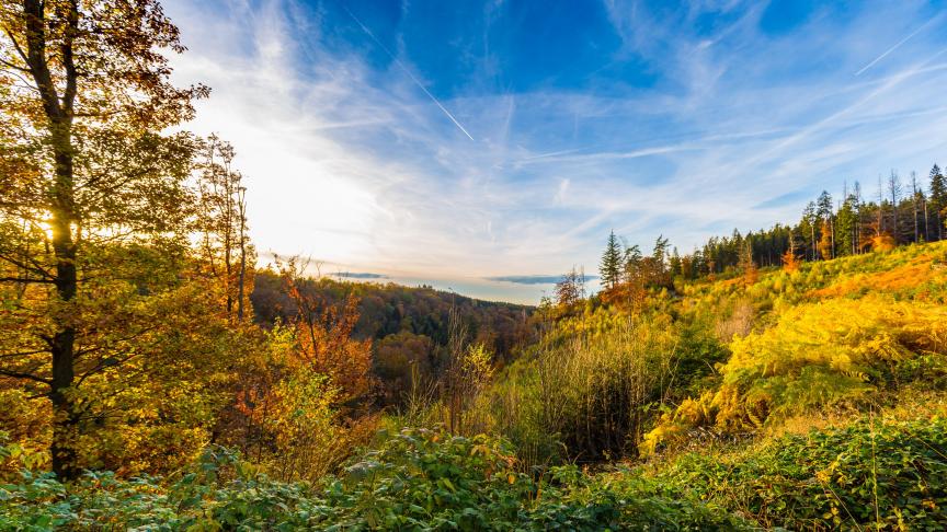 AdobeStock_125412944