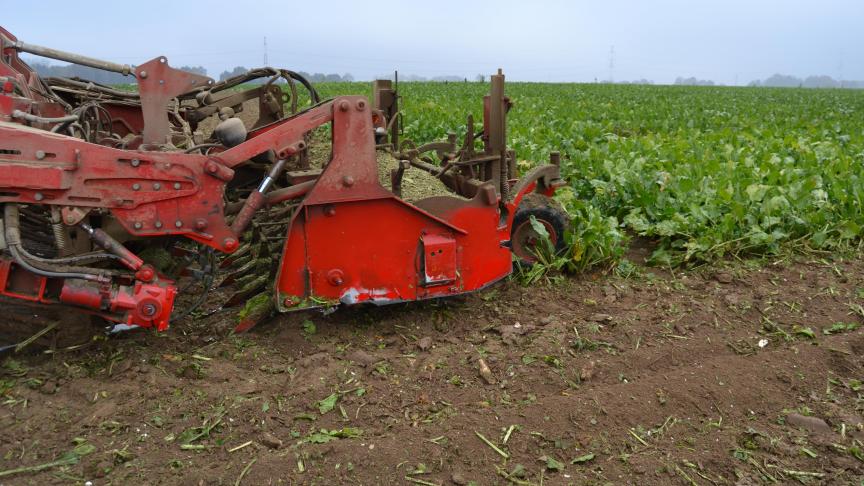 La forte augmentation des rendements en blé, betterave sucrière et pommes de terre a eu un impact énorme sur la rentabilité du secteur en 2019.