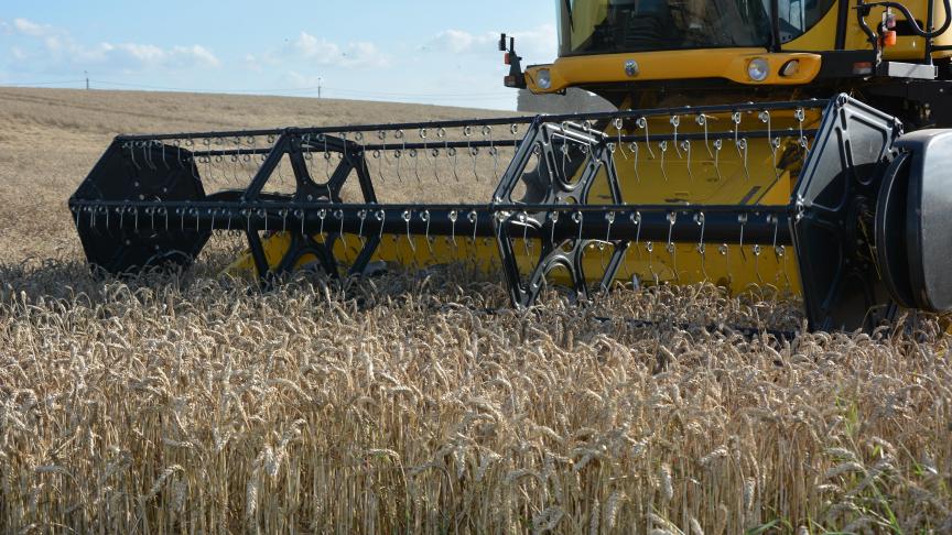 La récolte, point d’orgue de la saison, est riche en enseignements pour les partenaires
du projet. Elle permet d’évaluer les pratiques mises en place depuis le semis.