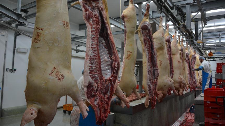 Le texte prévoit notamment la création d’une autorisation d’abattage qui pourra être suspendue ou retirée en cas d’infraction grave.