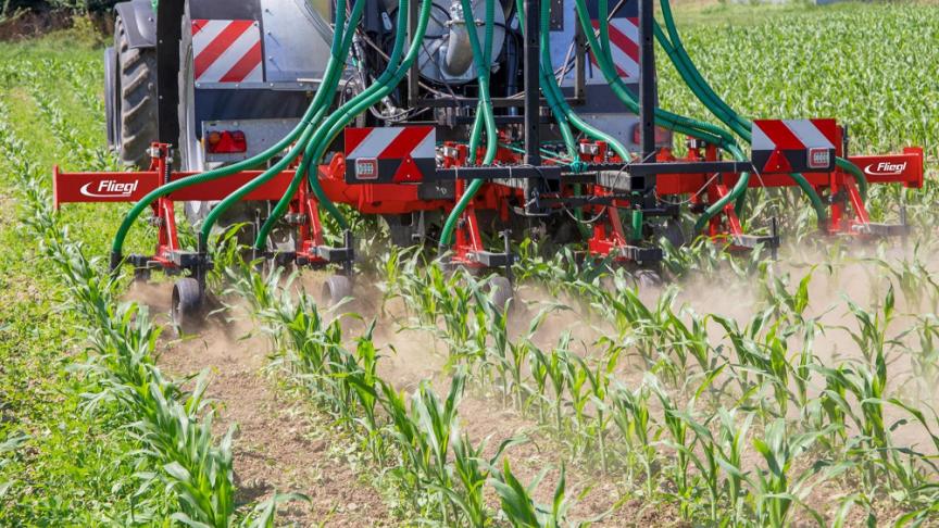 Le Dexter épand et incorpore le lisier, mais assure aussi le désherbage mécanique de la culture.