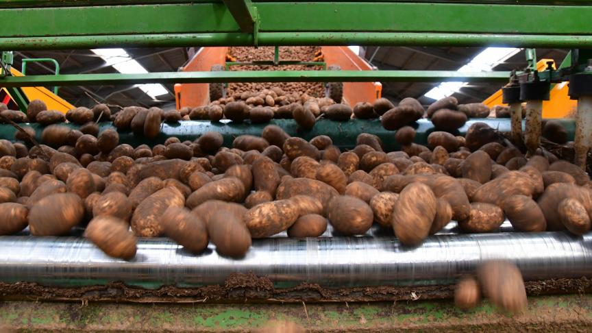 Une autorisation temporaire de 120 jours a été délivrée  pour ce produit à base d’huile de menthe.