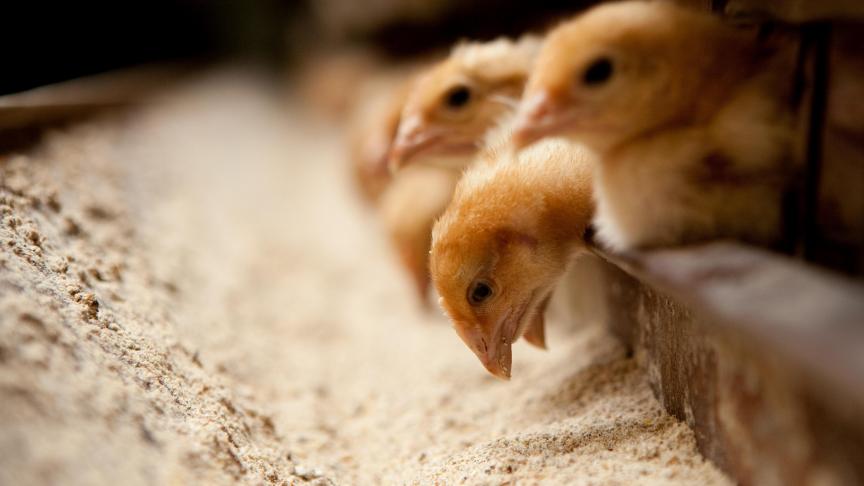 AdobeStock_189057408