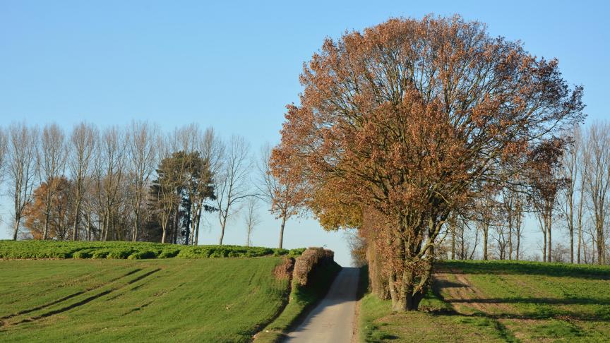 Si le chemin jusqu’à l’adoption du texte semble tracé, il faudra néanmoins lever un obstacle important avant le vote au parlement européen, à savoir le veto de la Bulgarie  et de la Pologne sur le futur cadre financier pluriannuel de l’UE.