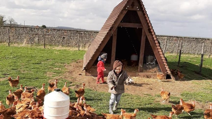 Les premiers poulets de l’année sont vendus en avril. La famille Goupil fait une pause de janvier à avril du fait des conditions climatiques moins adéquates.