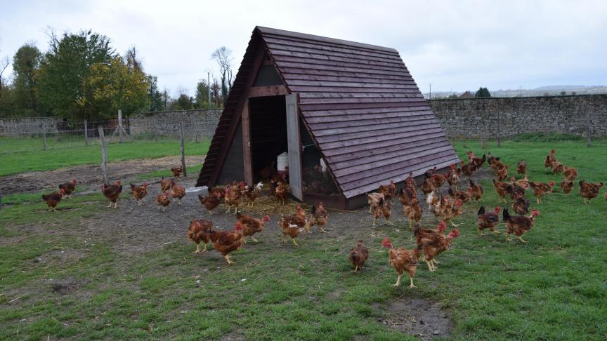 Pour la création des poulaillers, tout est fait maison avec l’aide d’amis de la famille.