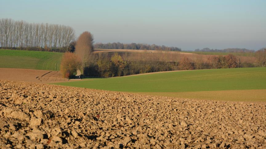Le Parlement a également œuvré pour des mesures qui donnent aux États membres une plus grande marge de manœuvre afin de soutenir les agriculteurs, en particulier pendant la crise du Covid-19.