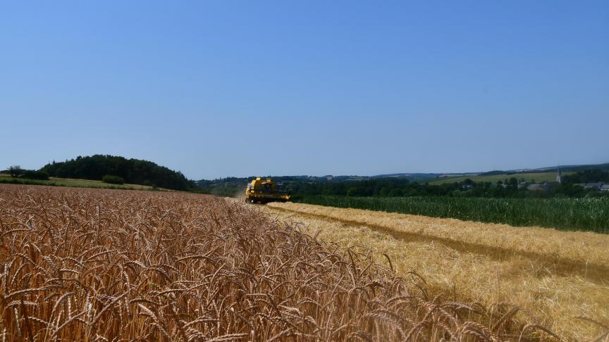 Bel’grains, c’est aussi le lien qui réunit les attentes des citoyens aux valeurs des agriculteurs biologistes.