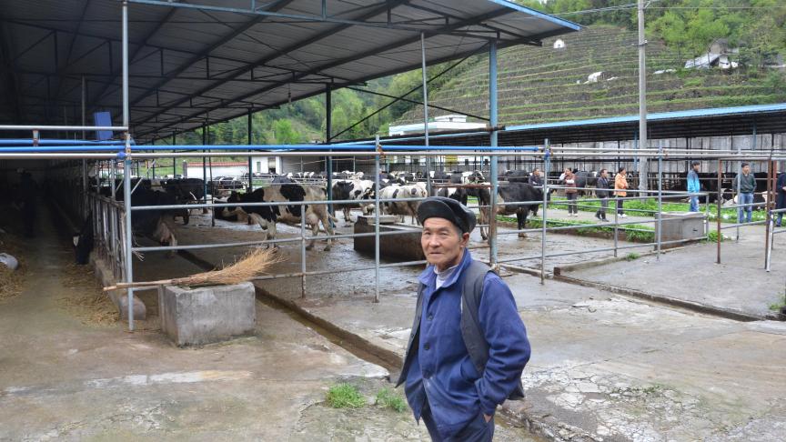 La consommation de blé par la Chine est revue à la hausse de 3 millions de tonnes pour l’alimentation du bétail.