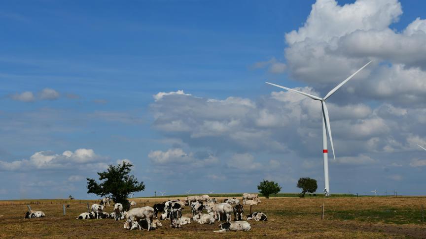 La première semaine du mois d’août a connu des températures particulièrement élevées dans notre pays, avec une semaine record entre le 6 et le 12 de ce mois!