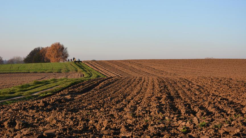 Pour rappel, le fermage correspond au revenu cadastral non indexé du bien multipliépar un coefficient dépendant de la localisation du bien.