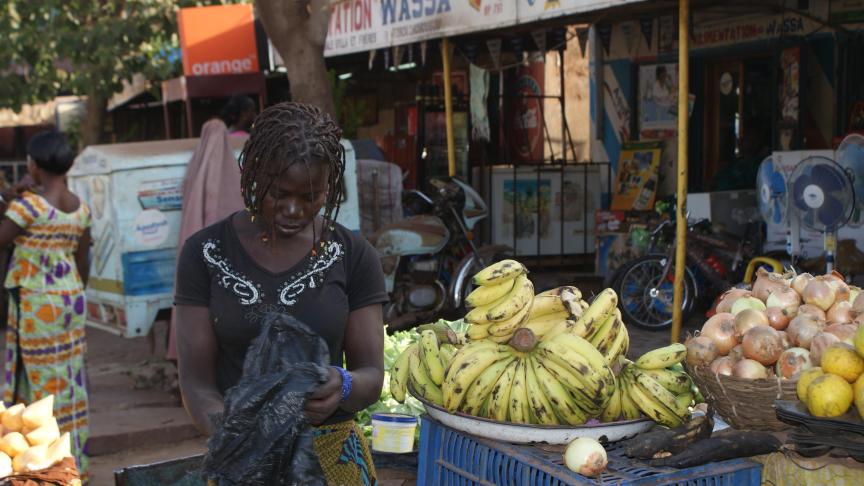 Les changements climatiques risquent d’entraîner une forte augmentation de la faim et de la pauvreté dans certaines régions du continent africain en raison de leur impact sur les productions agricole de base.