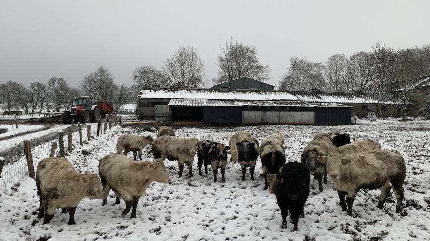 Les ministres de l’Agriculture des Vingt-sept ont notamment insisté sur la nécessité de passer à un système de contrôle des résultats et de ne pas maintenir celui de contrôle de la conformité.