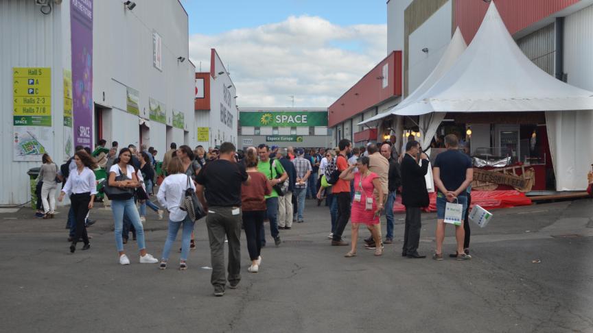 Si la journée du vendredi est annulée, les organisateurs du Space  y prévoient tout de même une animation numérique.