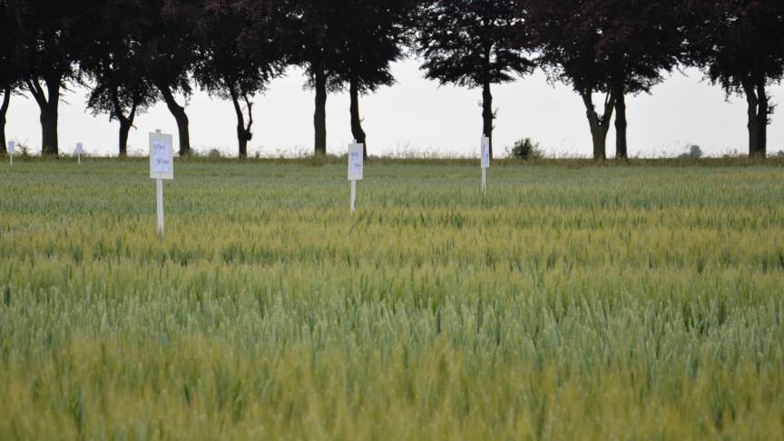 Des capsules vidéos seront mises en ligne aux alentours du 24 février 2021,  date initiale de la rencontre.