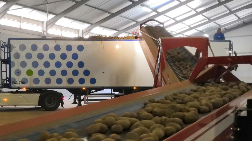 L’enquête au 1er février montre des stocks belges conséquents mais avec une plus large proportion sous contrat par rapport aux années récentes.