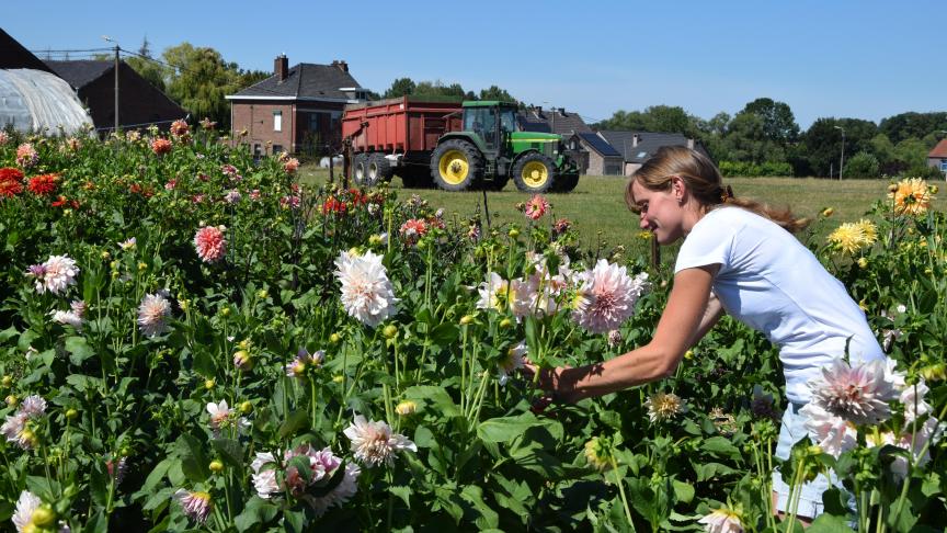 Les fleurs préférées de Pauline sont les Dahlias. Nul doute que vous dénicherez la perle rare dans les variétés qu’elle propose.  Retrouvez-la sur  <a href=https://www.facebook.com/pauletteadesfleurs/>https://www.facebook.com/pauletteadesfleurs/</a>  ou  <a href=https://instagram.com/pauletteadesfleurs>https://instagram.com/pauletteadesfleurs</a>