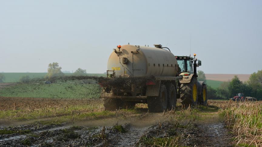 En zone de culture, les apports de phosphore soluble agissant rapidement sont recommandés.