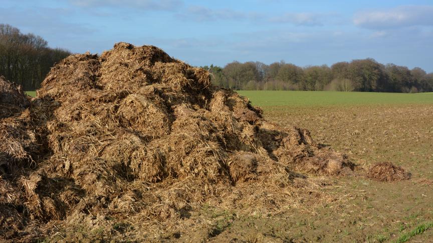 L’odeur de fumier constitue un des désagréments fréquemment cités par les riverains.  Il faut pourtant savoir s’en accommoder lorsque l’on décide de résider à la campagne.