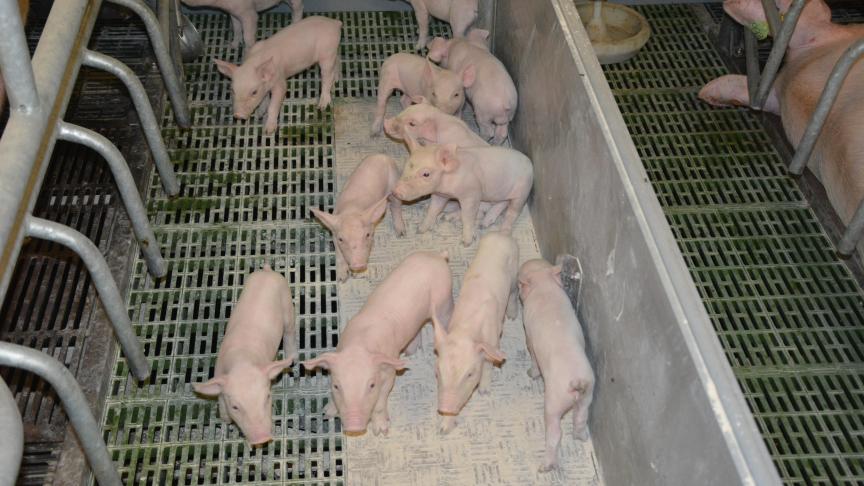 Les efforts fournis entre 2016 et 2020 devront se poursuivre pour atteindre les nouveaux objectifs, plus ambitieux, fixés par la seconde «Convention antibiotique».