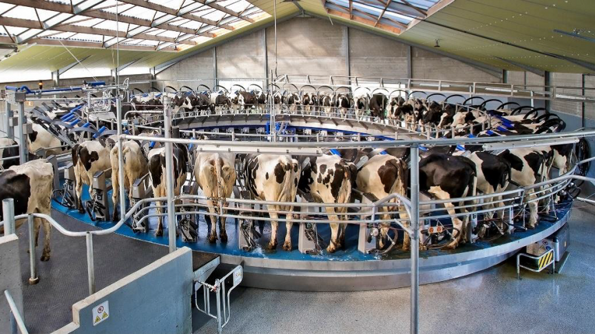La salle de traite rotative E300 a été conçue pour être utilisée par un seul trayeur.