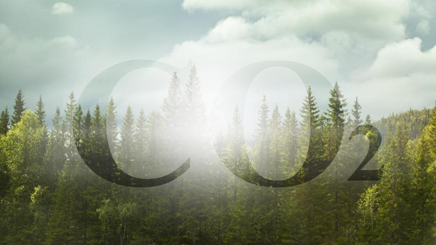 AdobeStock_302519888