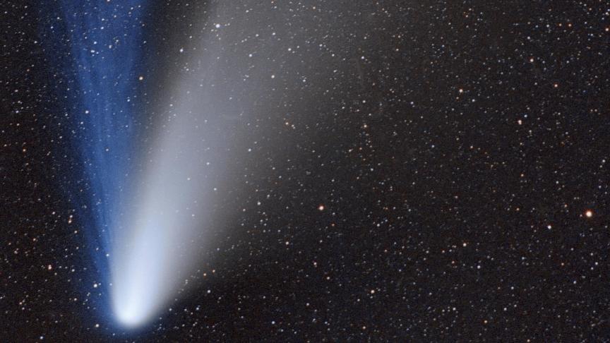 AdobeStock_244021236