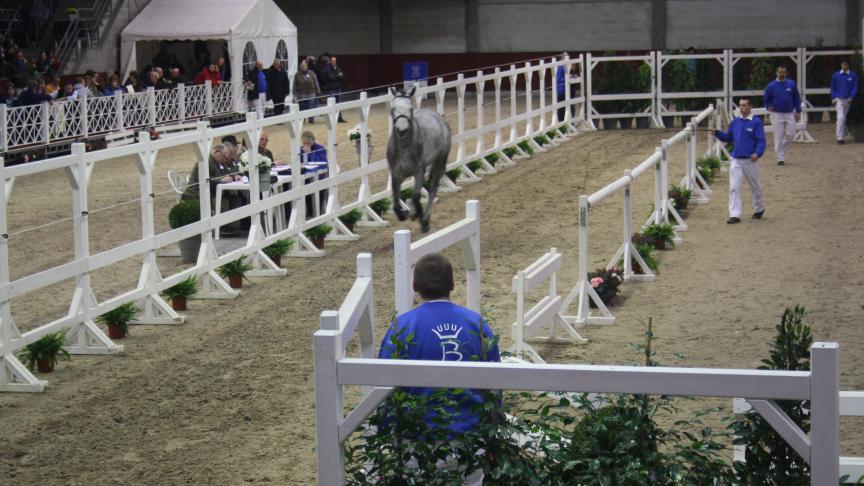 L’International Selection Show de Gesves aurait dû se tenir du 5 au 7mars.