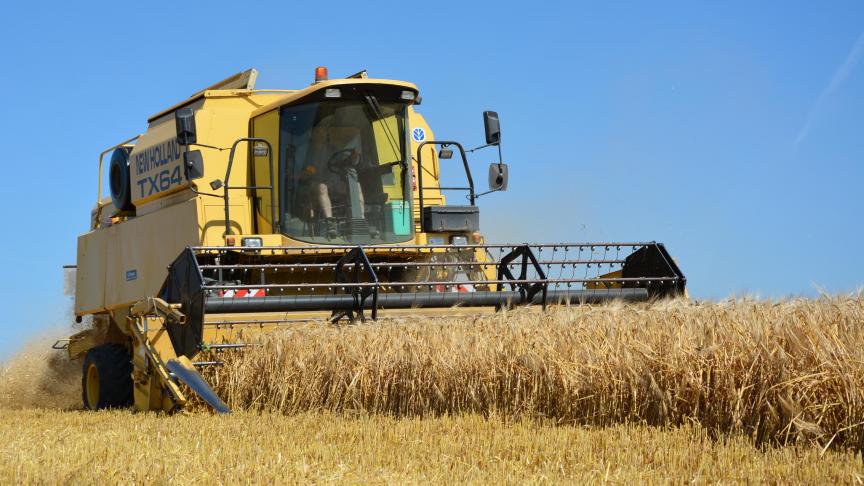 Avant d’être cultivées à grande échelle, les variétés nouvellement intégrées au Catalogue national ont subi une batterie de tests menée par le Cra-w et l’Ilvo.