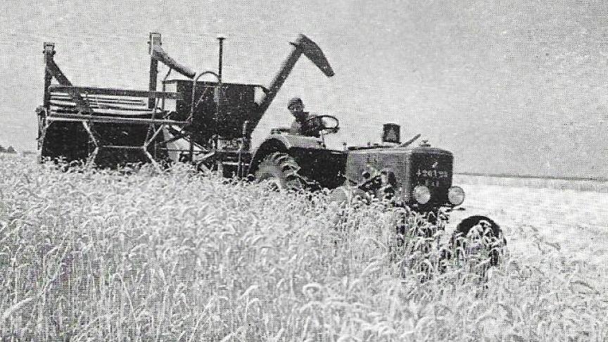 Le SFV 402 en pleine action, attelé à une moissonneuse-batteuse tractée.