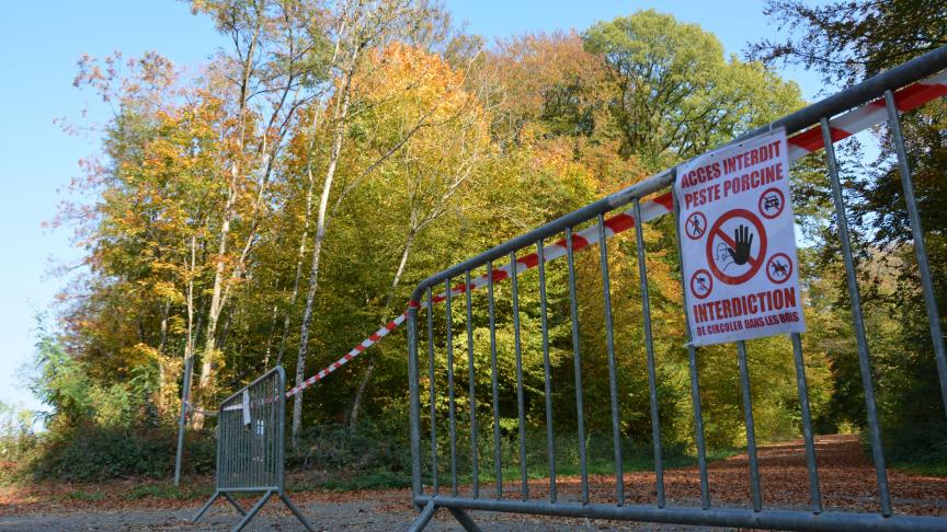 Circuler en forêt sera plus facile, moyennant le respect des mesures de sortie de crise.